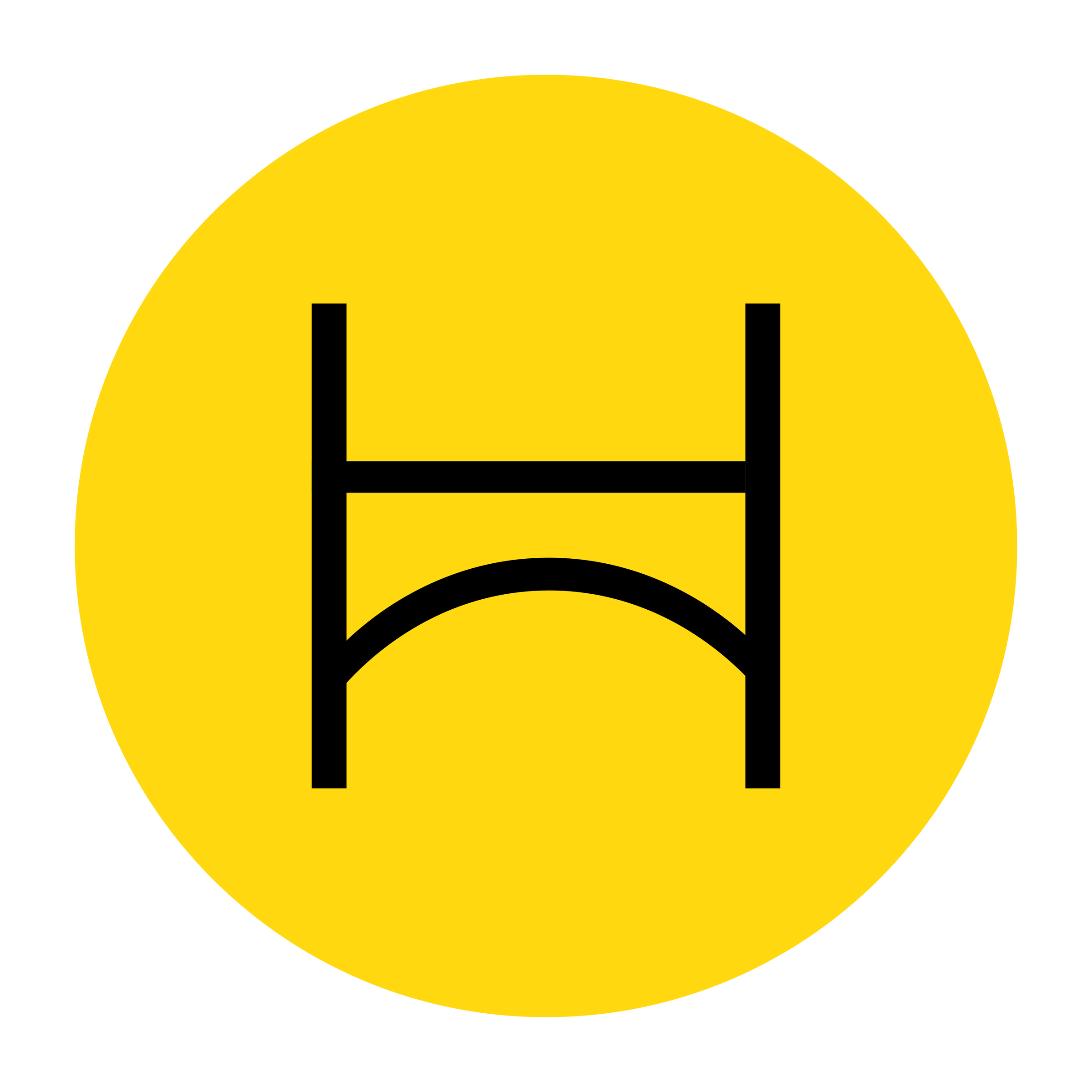 Hendricks Foundation logo