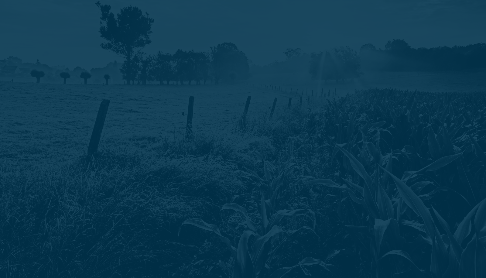 Northwest Harvest Emm logo