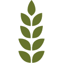 Food Lifeline logo