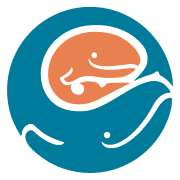 Seattle Children'S Foundation logo