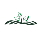 Jubilee Foundation logo