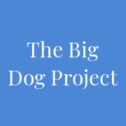 Big Dog Project logo