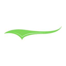 2nd Wind Foundation logo