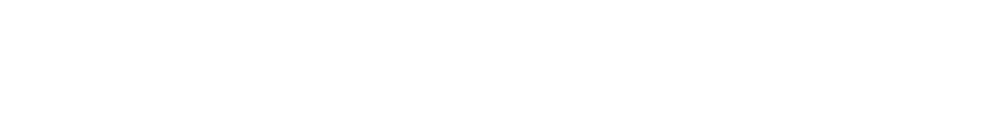 Schlesinger Family Foundation logo